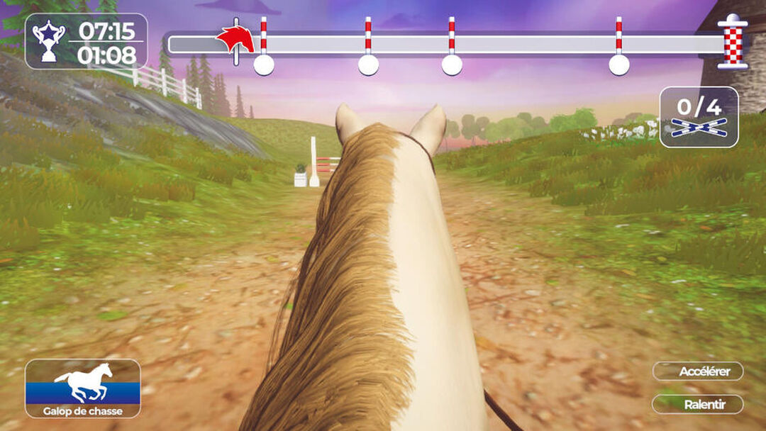 Galop 1 &agrave; 7 | Occasion