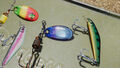 The Catch Carp And Coarse Collector's Edition | Occasion thumb 6