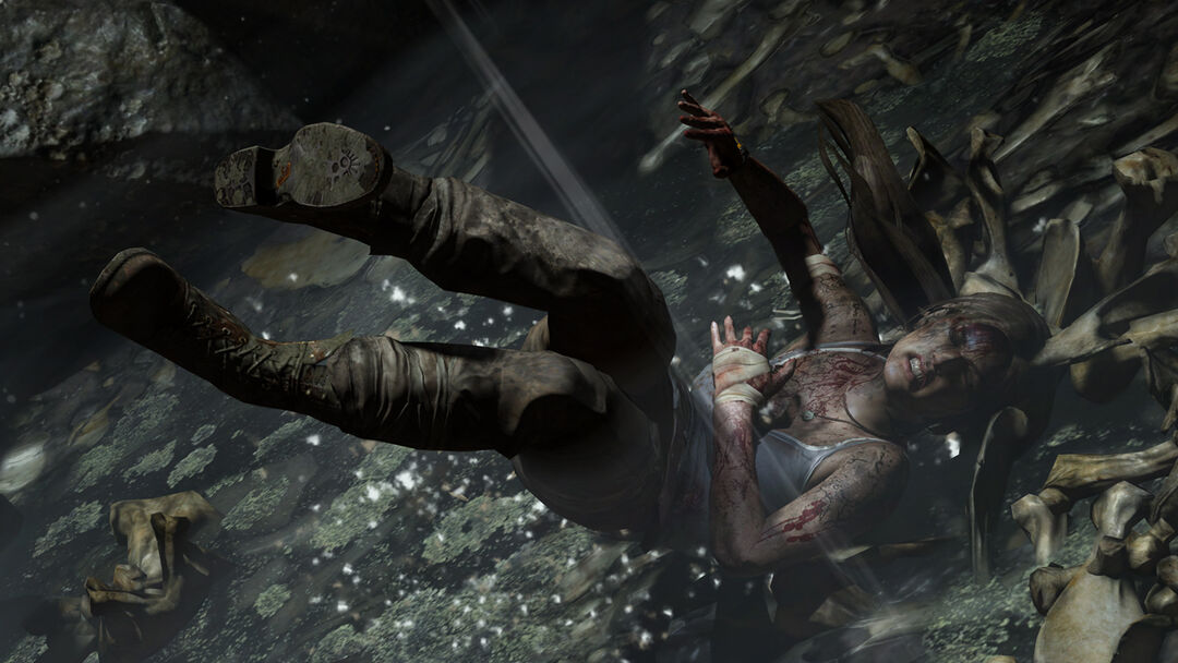 Tomb Raider | Occasion