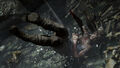 Tomb Raider | Occasion thumb 7
