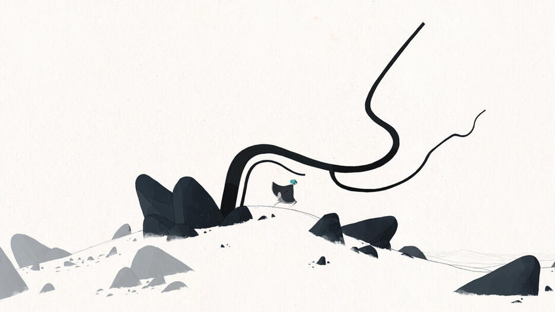 Gris | Occasion
