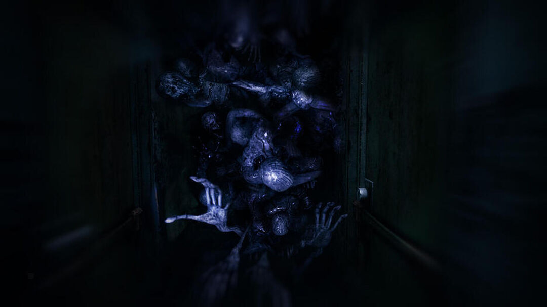 Song Of Horror | Occasion
