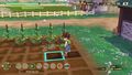 Story Of Seasons A Wonderful Life | Occasion thumb 5