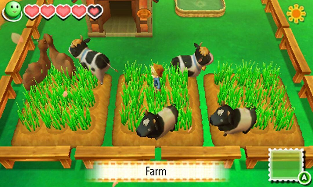 Story Of Seasons | Occasion