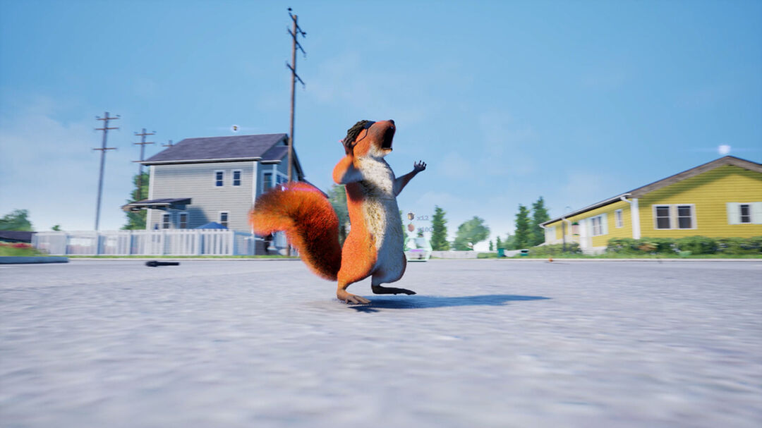 Squirrel With A Gun | Occasion