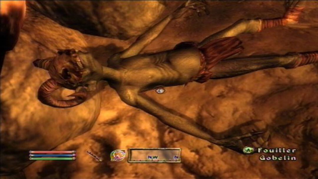 The Elder Scroll IV Oblivion | Occasion