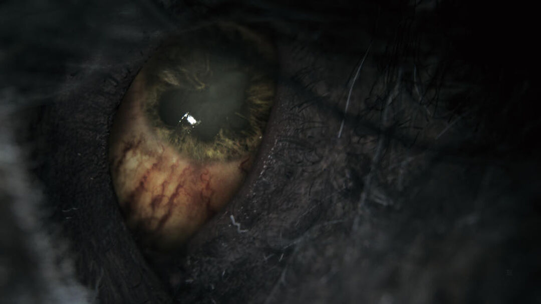 Bloodborne | Occasion