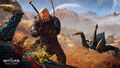 The Witcher 3 thumb 4