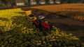 Real Farm Premium Edition thumb 8