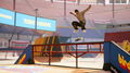 Tony Hawk's Pro Skater 1+2 thumb 3
