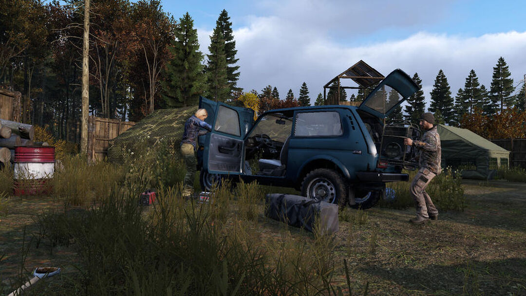 Dayz | Occasion