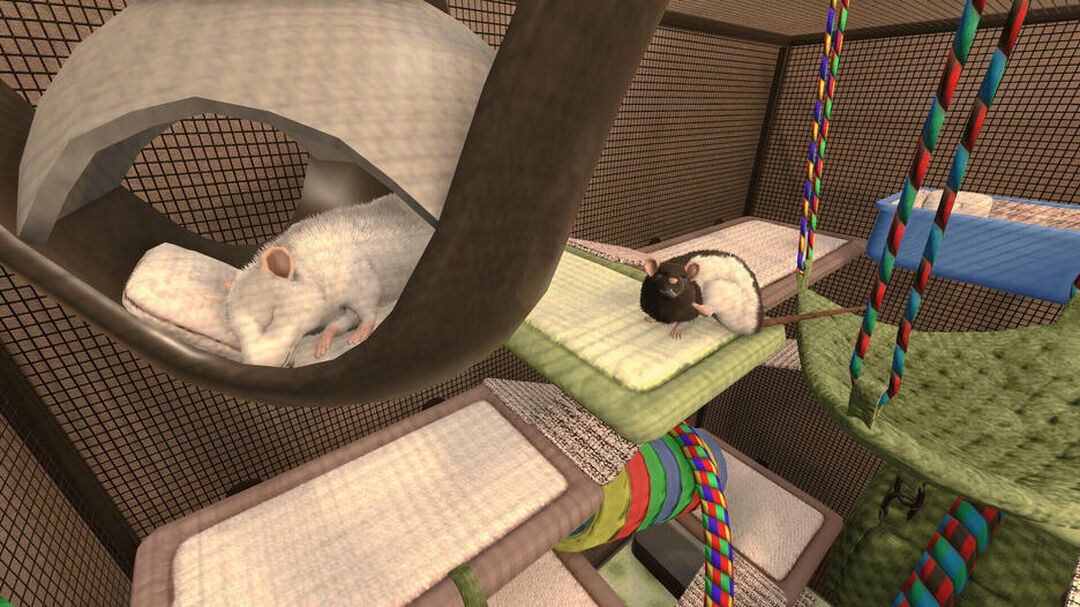 House Flipper Pets Edition | Occasion