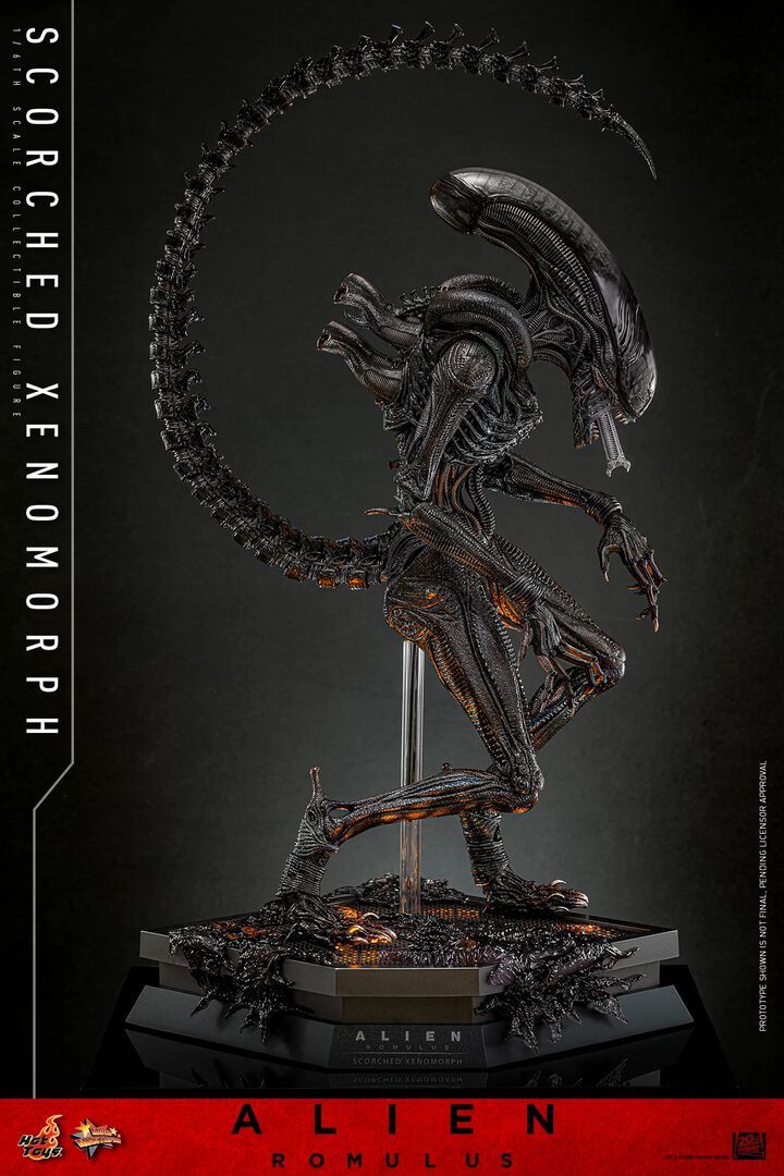 Figurine Hot Toys | Alien | Alien : Romulus Figurine 1/6 Scorched Xenomorph 44cm