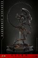 Figurine Hot Toys | Alien | Alien : Romulus Figurine 1/6 Scorched Xenomorph 44cm thumb 4