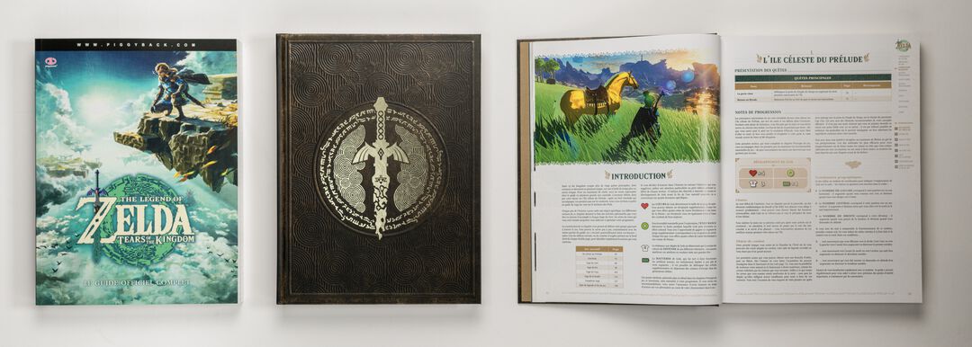 GUIDE ZELDA Tears Of The Kingdom | Version Collector