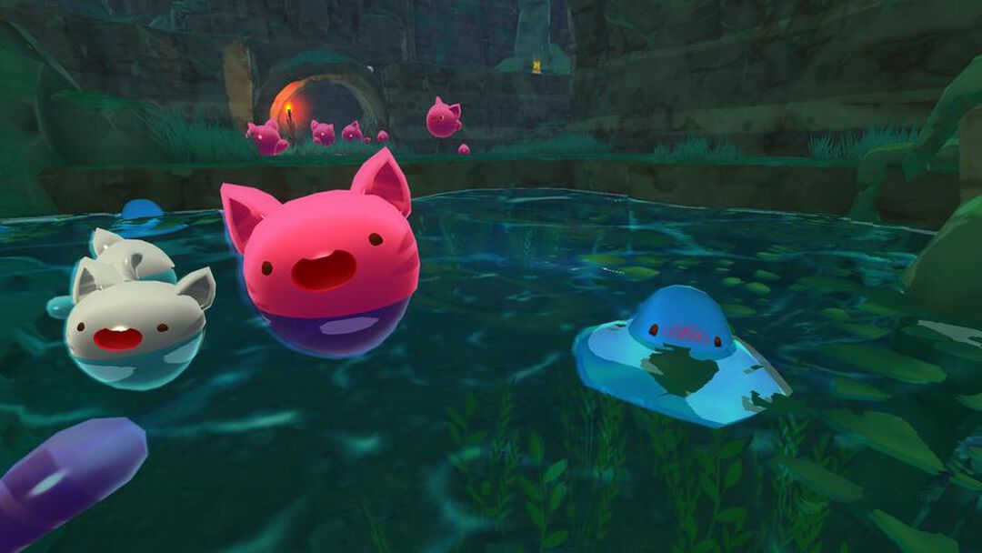 Slime Rancher | Occasion