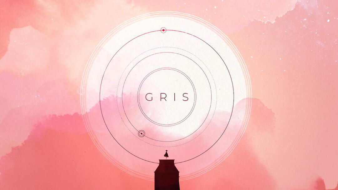 Gris | Occasion