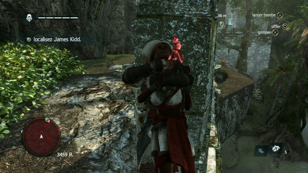 Assassin's Creed 4 Black Flag | Occasion