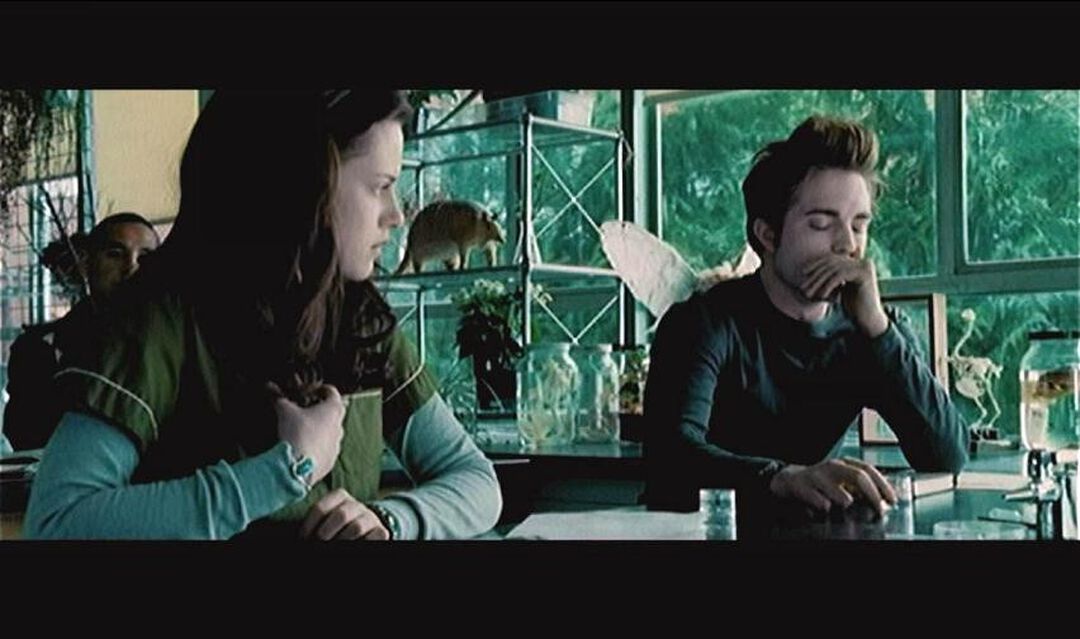 Scene It Twilight | Occasion