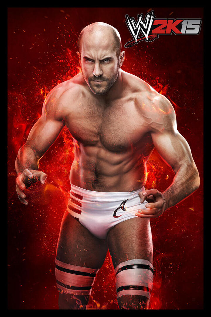 Wwe 2k15 | Occasion