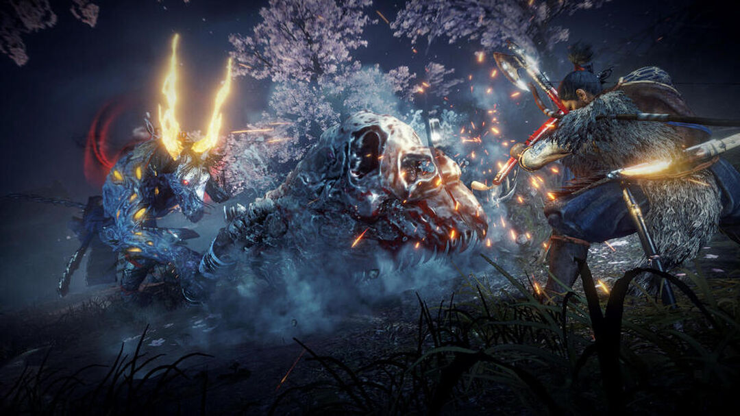 Nioh 2 | Occasion