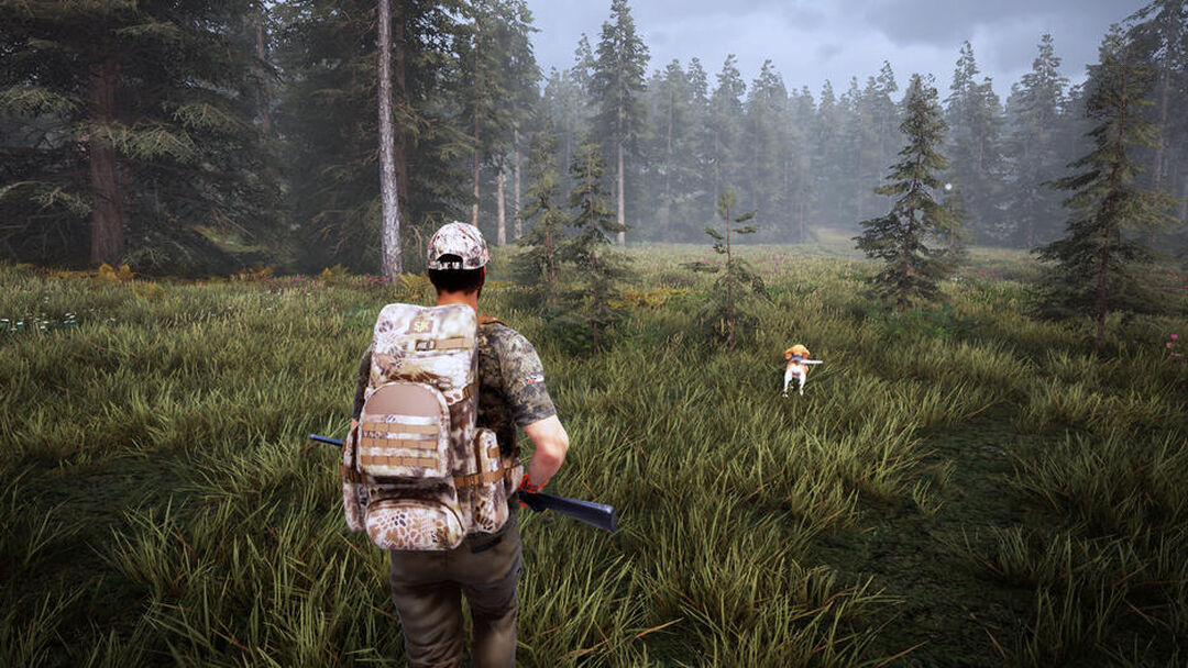 Hunting Simulator 2 | Occasion
