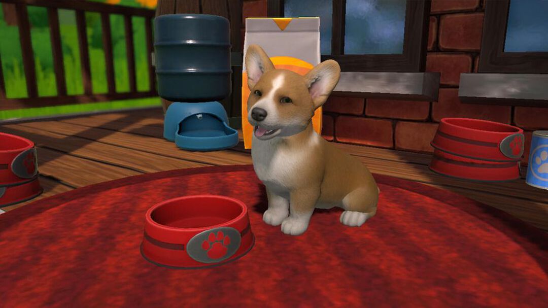 Little Friends Puppy Island | Occasion