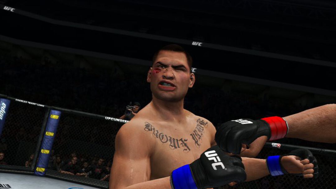 Ufc Undisputed 3 | Occasion