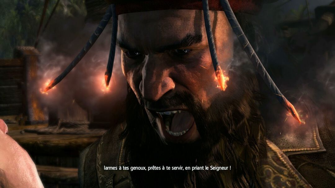 Assassin's Creed 4 Black Flag | Occasion