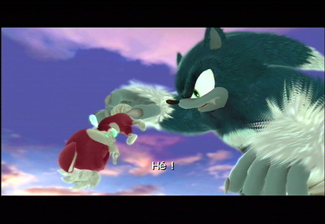 Sonic Unleashed La Mal&eacute;diction Du H&eacute;risson | Occasion
