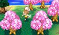 Animal Crossing New Leaf | Occasion thumb 10