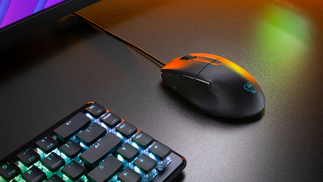 Souris Filaire | Pure Sel | Noir