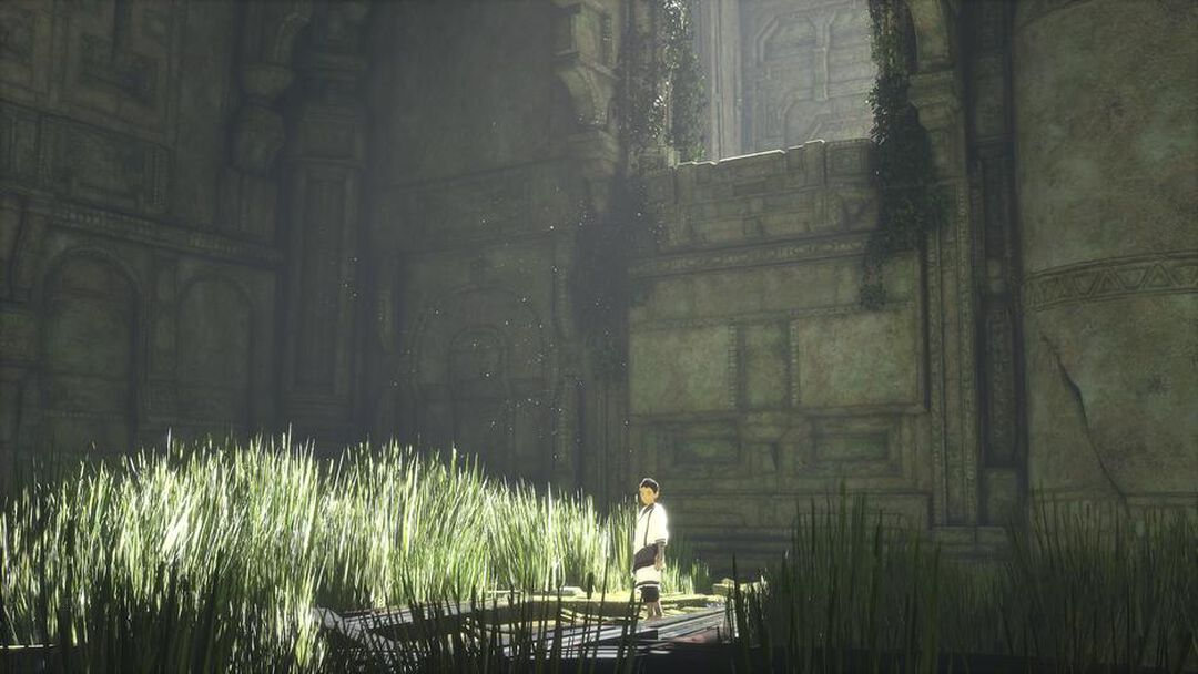The Last Guardian | Occasion