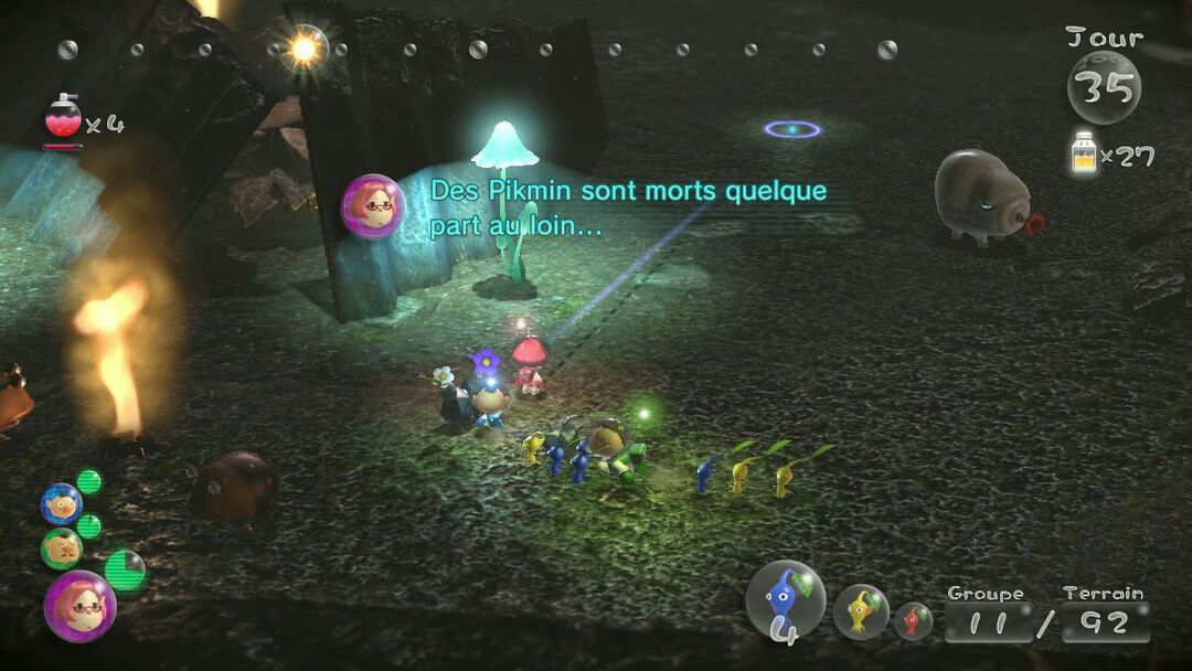 Pikmin 3 | Occasion