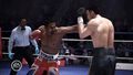 Fight Night Champion | Occasion thumb 11