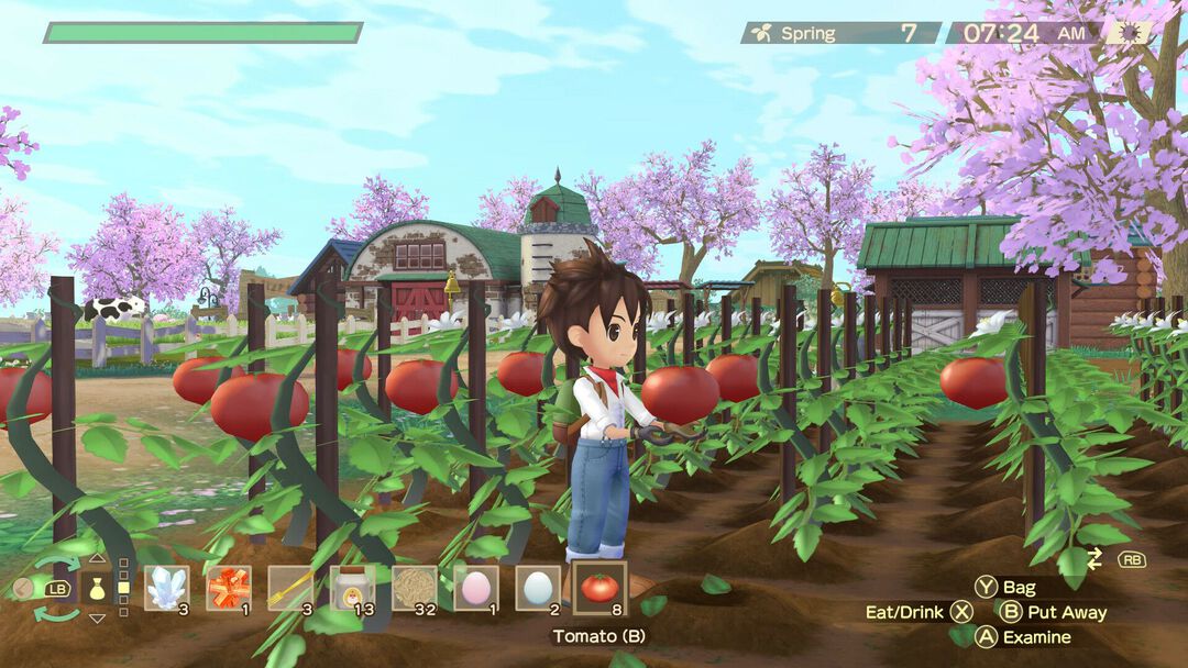 Story Of Seasons A Wonderful Life Edition Limitee