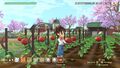 Story Of Seasons A Wonderful Life Edition Limitee thumb 11