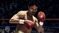 Fight Night Champion | Occasion thumb 7