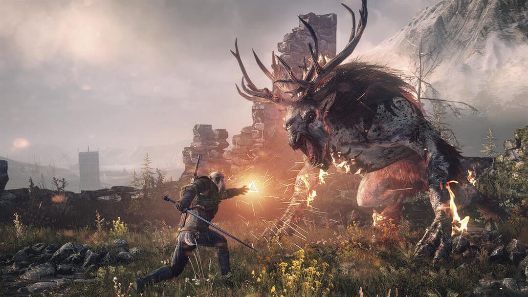 The Witcher 3 Wild Hunt Goty | Occasion