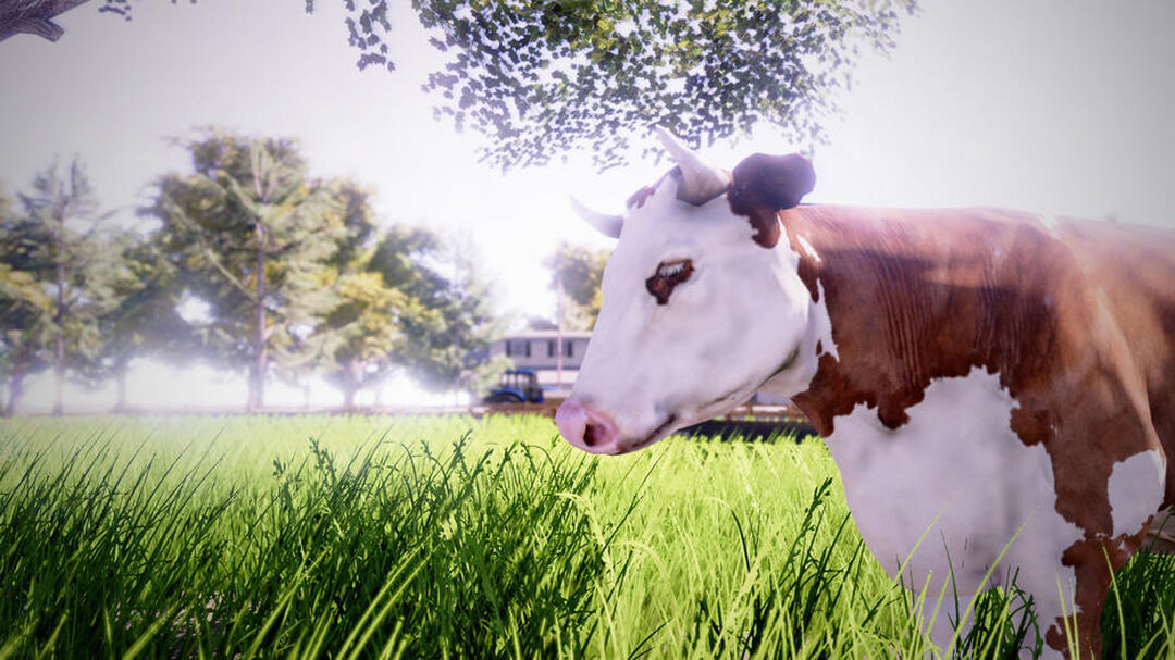Real Farm Premium Edition