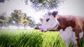 Real Farm Premium Edition thumb 3