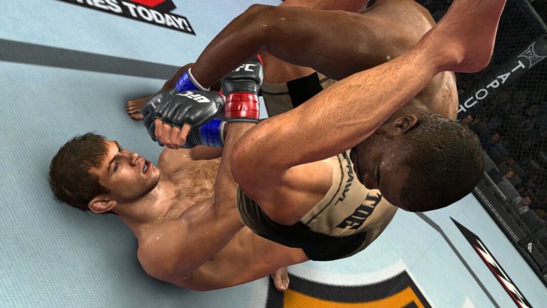 Ufc Undisputed | Occasion