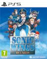 Sonic Wings Reunion