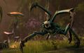 Elder Scrolls Online Tamriel Unlimited thumb 39