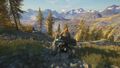 The Hunter Call Of The Wild 2019 Goty | Occasion thumb 17