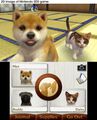 Nintendogs + Cats Golden Retriever & Ses Nouveaux Amis | Occasion thumb 5