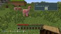 Minecraft | Occasion thumb 10