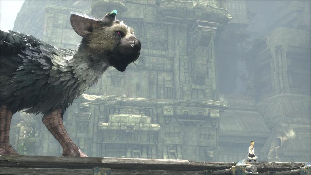 The Last Guardian | Occasion