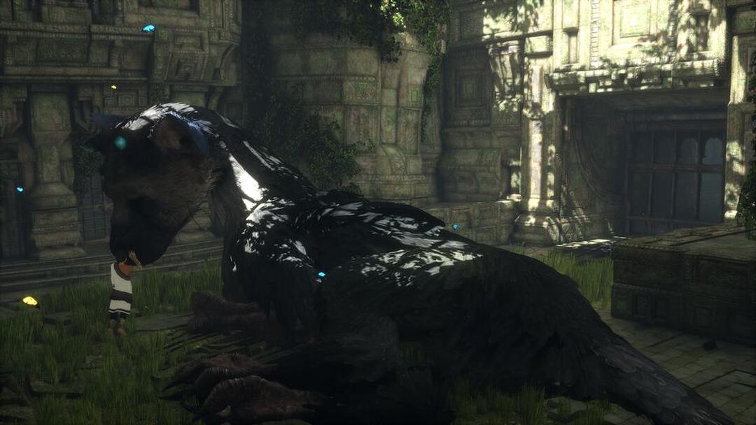 The Last Guardian | Occasion