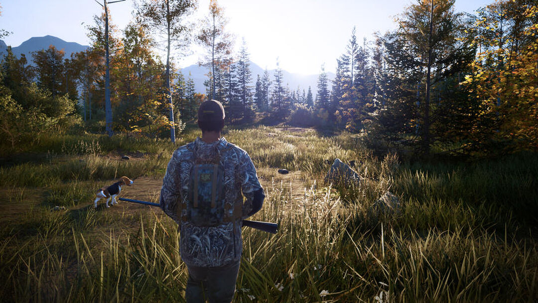 Hunting Simulator 2 | Occasion